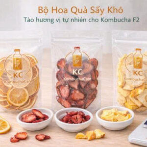 set hoa quẢ sẤy khÔ