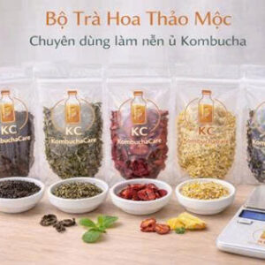 set trÀ hoa thẢo mỘc